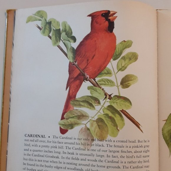 THE BOOK OF SONGBIRDS w/ 78 rpm record of bird songs - Picture 5 of 10